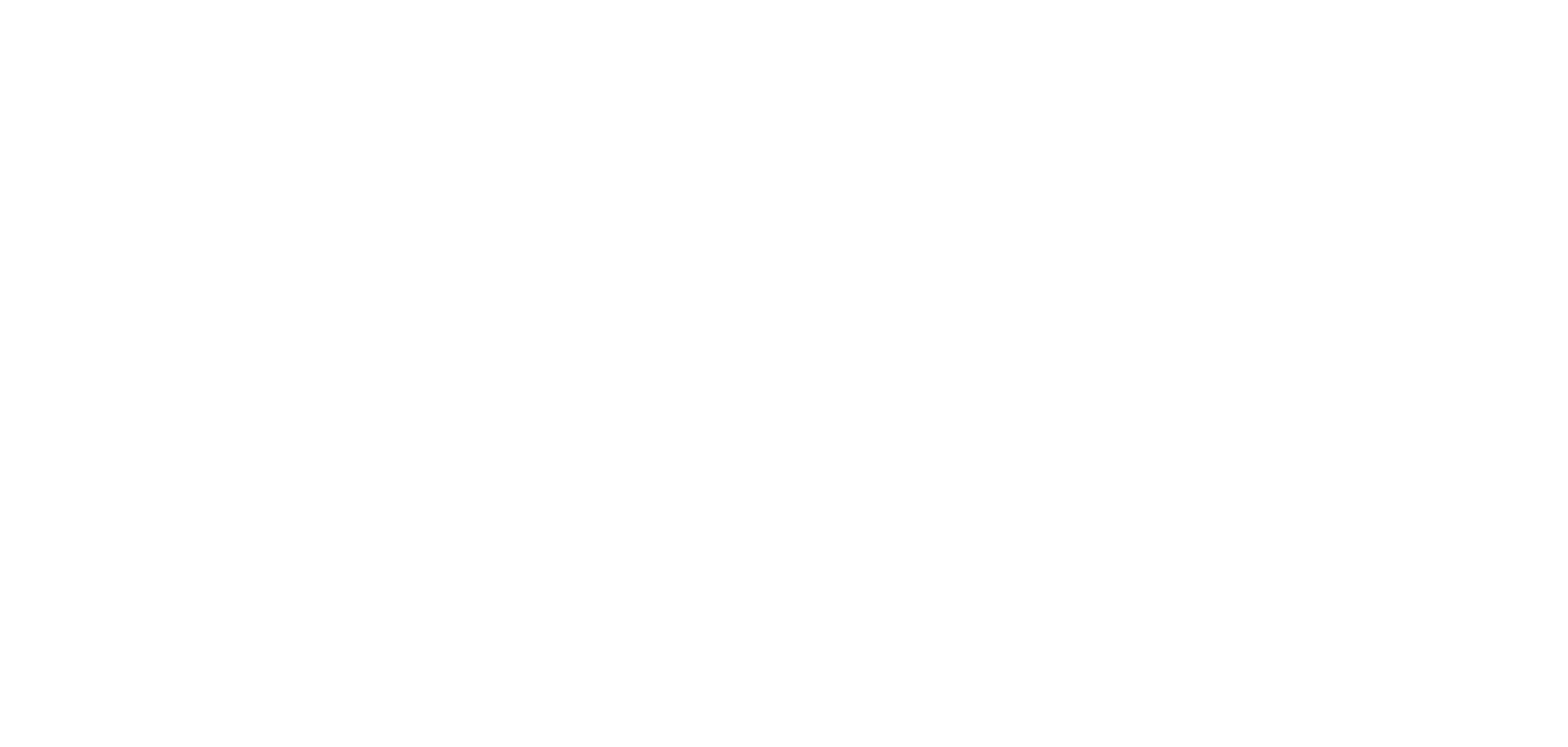 Fog 4
