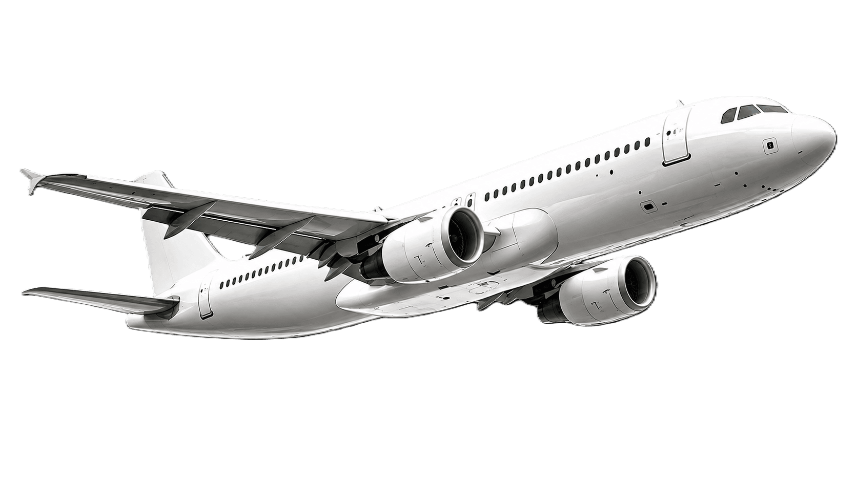 Flight
